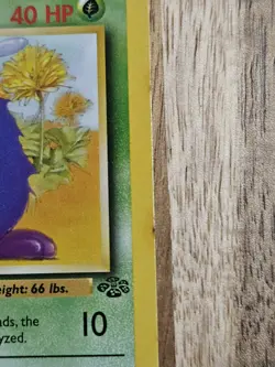 Venonat 1st Edition - #63/64 - Jungle Set - Pokemon TCG - 1999 - Excellent - Image 3
