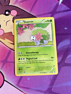 Shaymin - XY188 [XY Promos] Pokemon TCG - BLACK STAR HOLO RARE PROMO - NM - Image 1