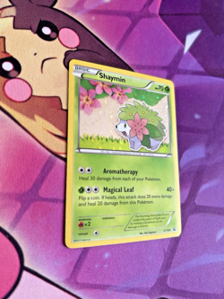 Shaymin - XY188 [XY Promos] Pokemon TCG - BLACK STAR HOLO RARE PROMO - NM - Image 2