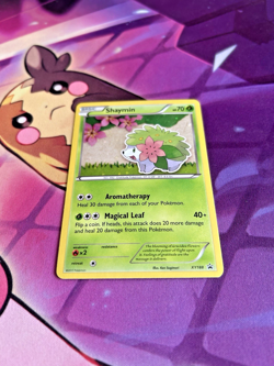 Shaymin - XY188 [XY Promos] Pokemon TCG - BLACK STAR HOLO RARE PROMO - NM - Image 3