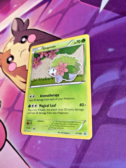 Shaymin - XY188 [XY Promos] Pokemon TCG - BLACK STAR HOLO RARE PROMO - NM - Image 4