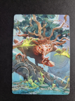 Ferrafor, Young Yew 47/54 MTG Lorwyn Eclipsed Art Series Card - Image 1