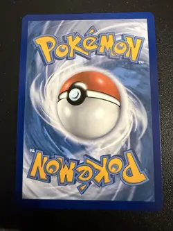 RAIHAN 224/203 | Secret Rainbow Rare | Evolving Skies | Pokemon TCG Holo NM/M - Image 2