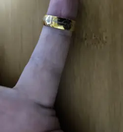 HUGE Upgraded Food and Fellowship LotR MtG Commander deck - Image 5