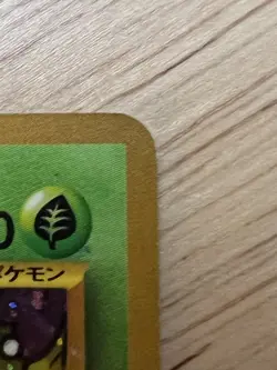 Pokemon Celebi 251 Promo Neo Premium File 3 Japanese HP - Image 3