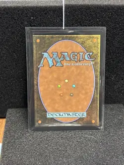 MTG Ocelet Pride Store Championship Lorwyn Eclipsed Promo - Image 2