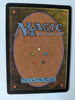 Spanish Culling the Weak Exodus MTG NM Free shipping with tracking - Image 2