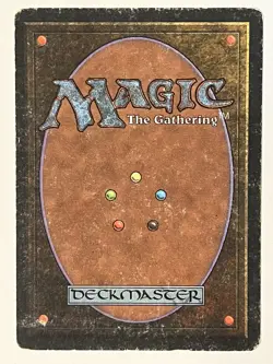 Northern Paladin Revised Edition Non-Foil MTG HP - Image 2