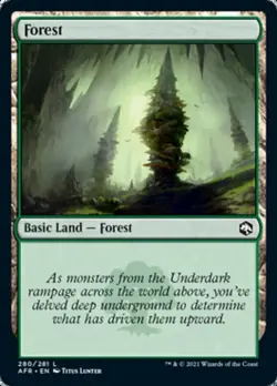 MTG: Various Forest Foils (Various Sets) **See Descriptions** - Image 3