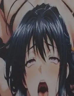 Highschool dxd Akeno Himejima waifu card - Image 1