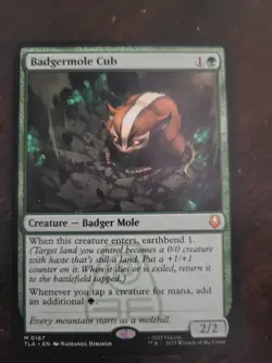 Badgermole Cub (0167) - Avatar The Last Airbender (TLA) - Magic The Gathering - Image 1