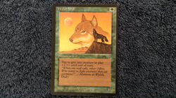 ARABIAN NIGHTS Wyluli Wolf (dark) common Magic the Gathering Moderate Play - Image 2