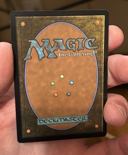 Malleable Impostor #10 (NM) Wilds of Eldraine WOC Magic MTG - Image 2