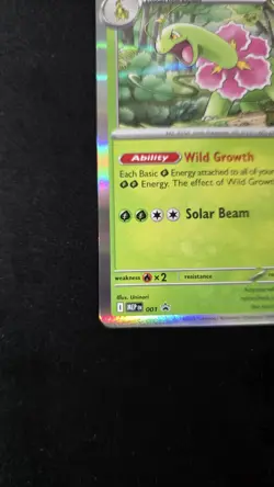 Pokemon TCG Meganium 001 Me: Mega Evolution Promo Holo 2025 English STAMP - Image 2
