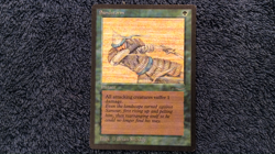ARABIAN NIGHTS Sandstorm common Magic the Gathering Unplayed Near Mint - Image 2