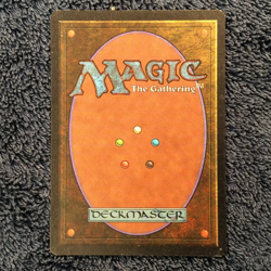 ARABIAN NIGHTS Fishliver Oil (light) common Magic the Gathering Light Play - Image 5
