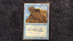 ARABIAN NIGHTS Giant Tortoise (dark) common Magic the Gathering Unplayed NM - Image 2