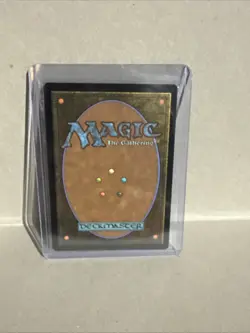 Tangle (Borderless) Eternal-Legal Regular - Image 2