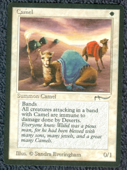 ARABIAN NIGHTS Camel common Magic the Gathering Unplayed Near Mint - Image 1