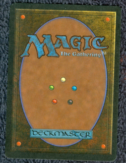 ARABIAN NIGHTS Camel common Magic the Gathering Unplayed Near Mint - Image 3