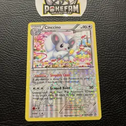 POKEMON TCG Cinccino RC19/RC25 Legendary Treasures: Radiant Collection Holo LP - Image 1