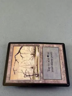 MTG Beta Swamp 295 (B)-Low Play Excellent-Vintage Magic the Gathering - Image 5