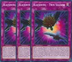 Yugioh - Blackwing Twin Shadow x 3 - 1st Edition NM - Plus Free Holographic Card - Image 1