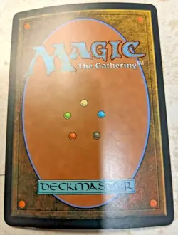 Foil Ragged Veins - Champions of Kamigawa - Magic: The Gathering - Image 2