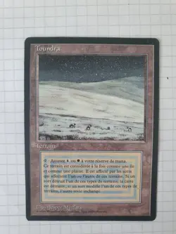- MTG Magic Card - Dual Land Toundra - 3eme Bord Noir FBB - Image 1