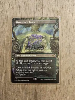 Overgrown Tomb (Borderless) Lorwyn Eclipsed Regular - Image 1