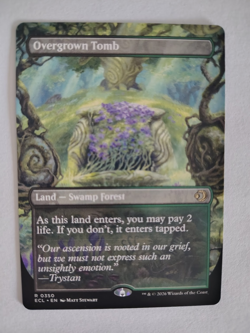 Overgrown Tomb (Borderless, Double-sided) Lorwyn Eclipsed ECL 0350 MTG NM - Image 2