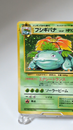 Pokemon Card Complete Base Set 1996 Holo Charizard Blastoise Venusaur Japanese 1 - Image 2