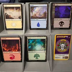 Magic: The Gathering Basic Land Bulk Lot - Varied Sets - 100, 200, 300 Count - Image 1