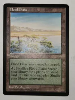 MTG Flood Plain Mirage 326 Regular Uncommon LP - Image 2