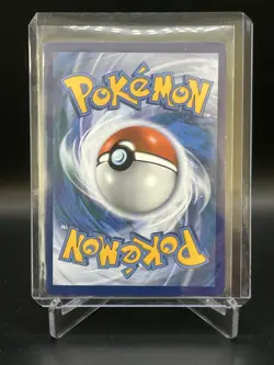 Brawly - Chilling Reign - 212/198 - Rainbow Rare - LP - Pokemon TCG - Image 2