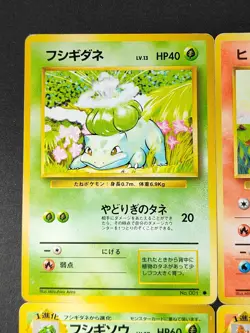 Japanese Pokemon cards Starter Evolutions Lot Ivysaur Charmeleon Wartortle eb218 - Image 2