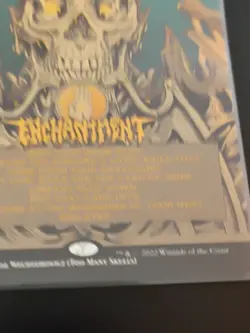 MTG TCG Secret Lair: 30th Anniversary Countdown Kit Necropotence #1995 Foil - Image 5