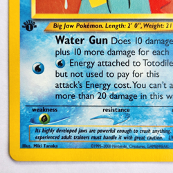 Totodile 85/105 Pokemon TCG 1st Edition Neo Destiny NM Vintage 2002 Card - Image 5