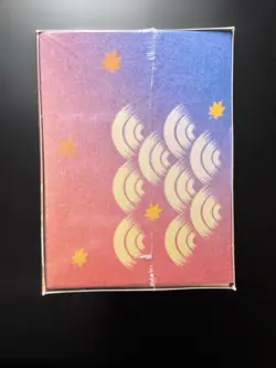 [US Seller] 2025 Pokemon Japanese Pokemon Center Hiroshima Pikachu Box - Image 2