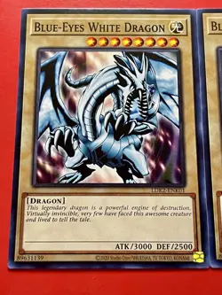 3x Blue-Eyes White Dragon | SDK Art & More! | LDK2-ENK01 | NM | Common | YuGiOh! - Image 3