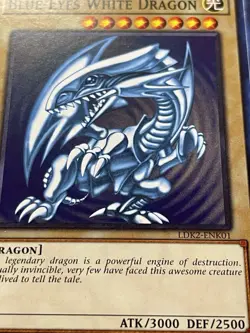 3x Blue-Eyes White Dragon | SDK Art & More! | LDK2-ENK01 | NM | Common | YuGiOh! - Image 4