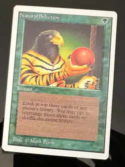 Magic the Gathering MTG Unlimited Natural Selection NM (Beta Bob) - Image 1