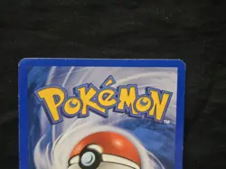 Pokemon Squirtle Expedition Base Set 132/165 Regular 2002 Kyoko Umemoto 40 HP - Image 4