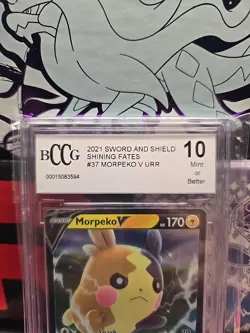 2020 Pokemon Sword & Shield Base Set Morpeko V #079 BCCG GRADE 10 - Image 2