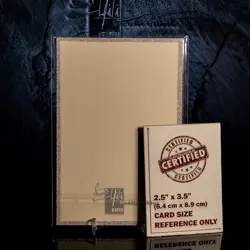 Tsunade Premium Waifu Trading Card A6 Oversized Silver Glitter Frame Naruto - Image 2