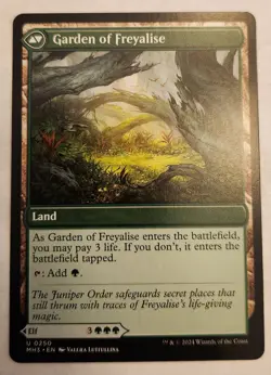 Disciple of Freyalise / Garden of Freyalise MH3 #250 Uncommon Regular NM+ - Image 2