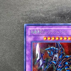Dark Paladin 303-051 Secret Rare YuGiOh 690 - Image 2