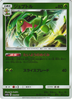 Grovyle 009/173 Tag All Stars sm12a Japanese Reverse Foil Pokemon Card Near Mint - Image 1