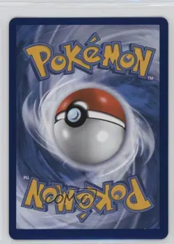 _____'s Pikachu (Wizards Black Star Promo) Pokemon Celebrations #24 - Image 2