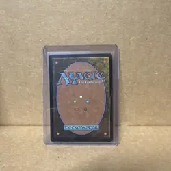 Tale of Momo (Extended Art) Avatar: The Last Airbender: Eternal-Legal Foil - Image 2